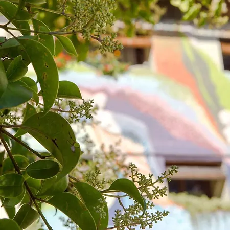 Venkovský dům Casa El Pelaire *