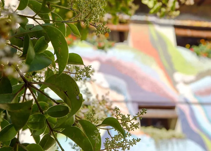 Lantställe Casa El Pelaire *