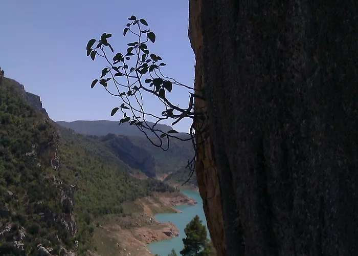 Casa El Pelaire Lantställe